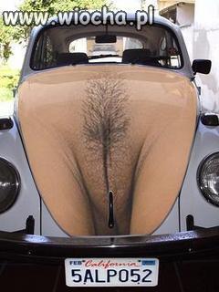 Garbus