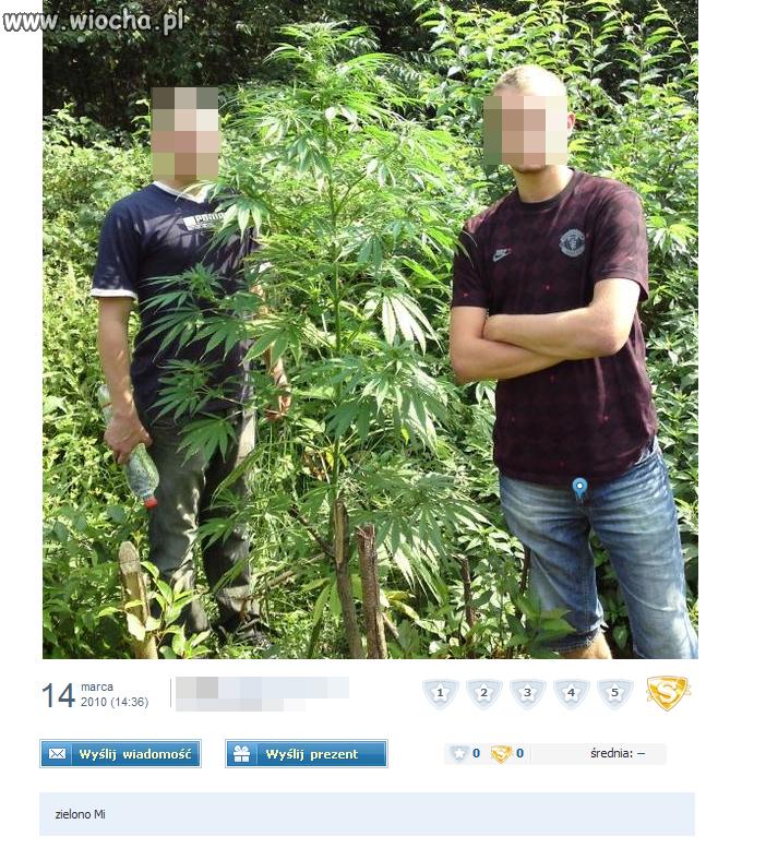 Zielarze