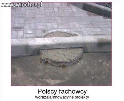 Polscy fachowcy za granicą.