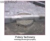 Polscy fachowcy za granicą.