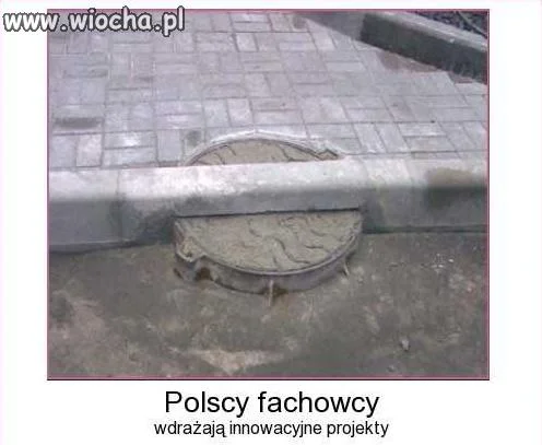 Polscy fachowcy za granicą.