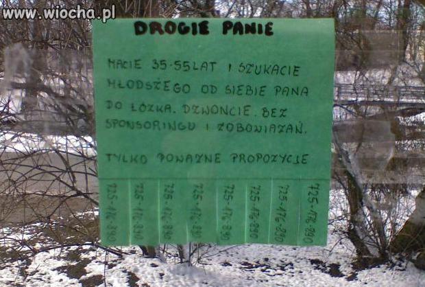 Nowatorski sposób szukania znajomości.