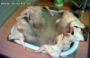 Jacuzzi