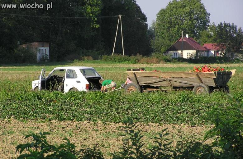 Widać że jest postęp w rolnictwie