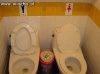Małżeńskie WC