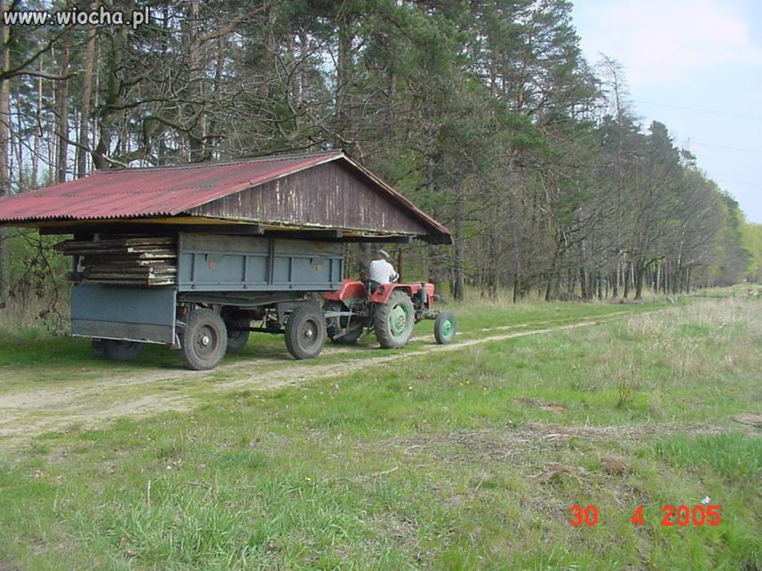 Modilny dom na kółkach