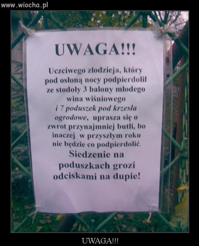 Uczciwy złodziej