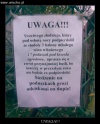 Uczciwy złodziej