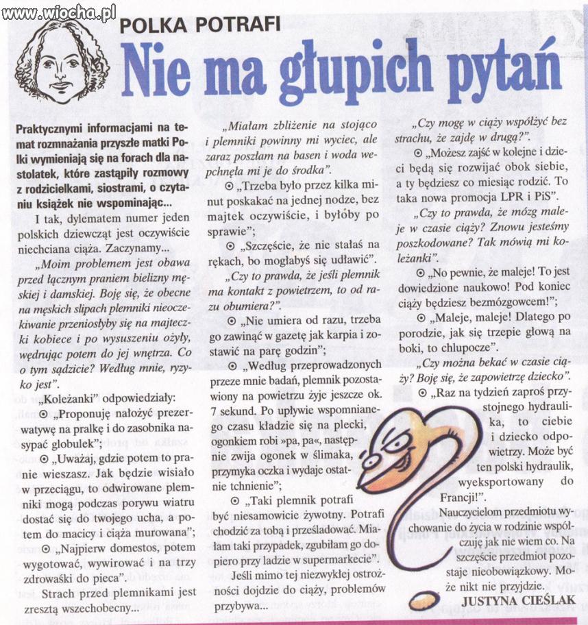 Nie ma głupich pytań.