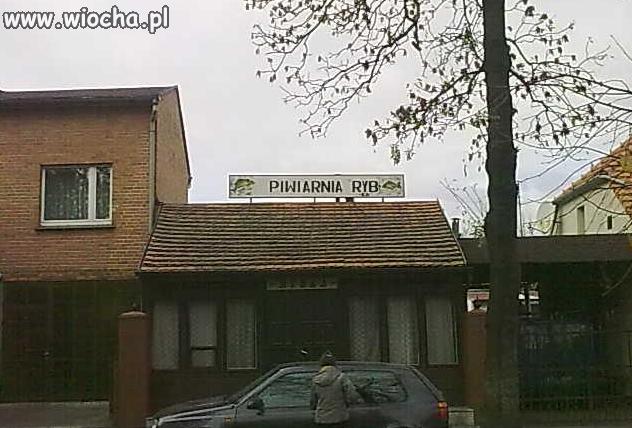 Piwiarnia dla ryb