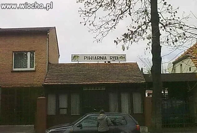 Piwiarnia dla ryb