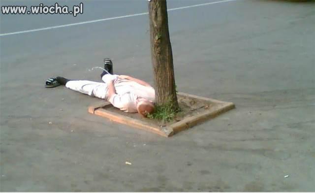 Szczyt lenistwa
