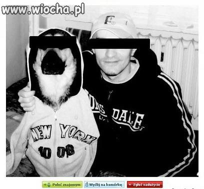 Pies dresiarz