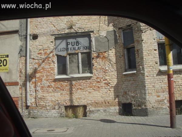 Pub - Luźny kalafior