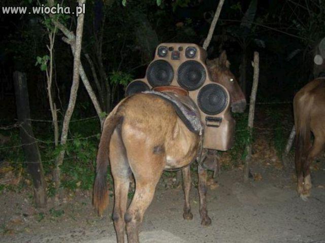 Car audio