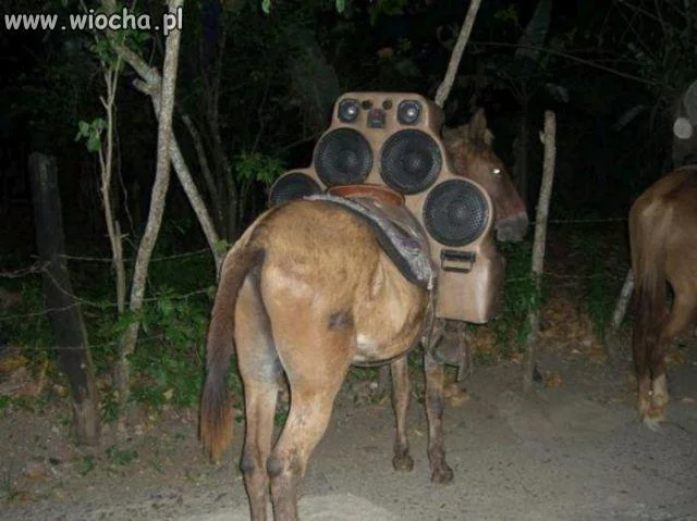 Car audio
