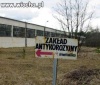 Reklama dzwignią handlu
