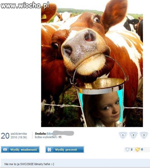 Swojskie klimaty