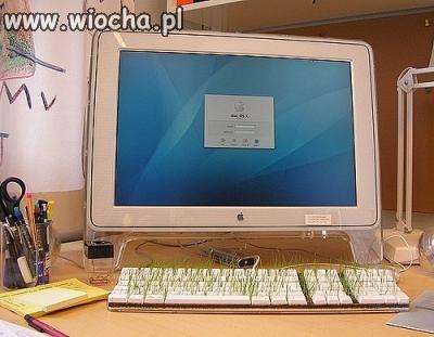 Święta Wielkanocne przy kompie