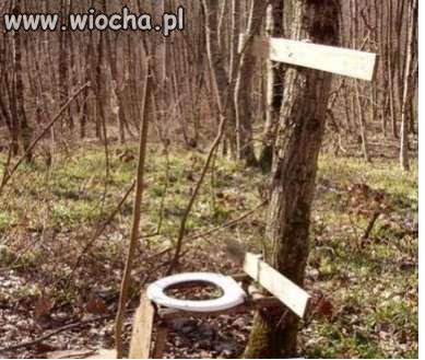 Leśna WC.