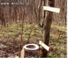 Leśna WC.