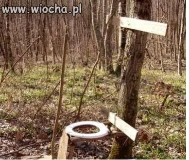 Leśna WC.