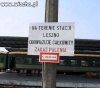 Problem palacza