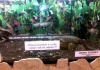 Czytelna informacja