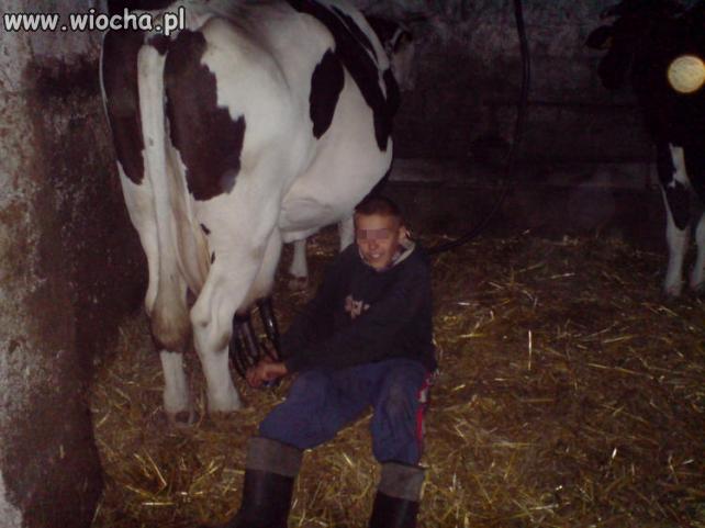 Zawodowy rolnik