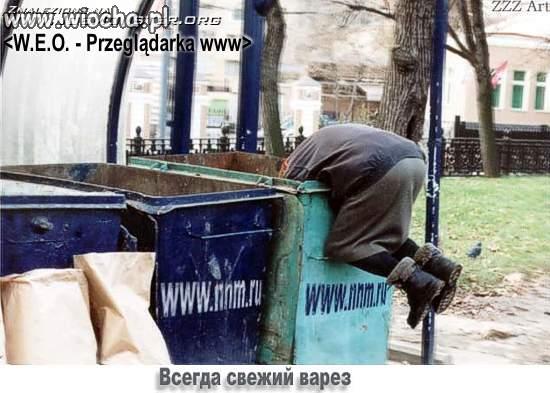Przeglądarka WWW