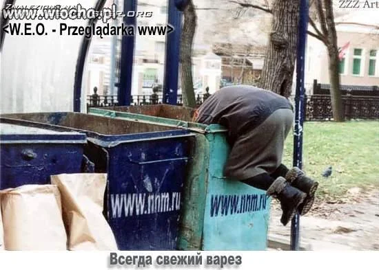 Przeglądarka WWW