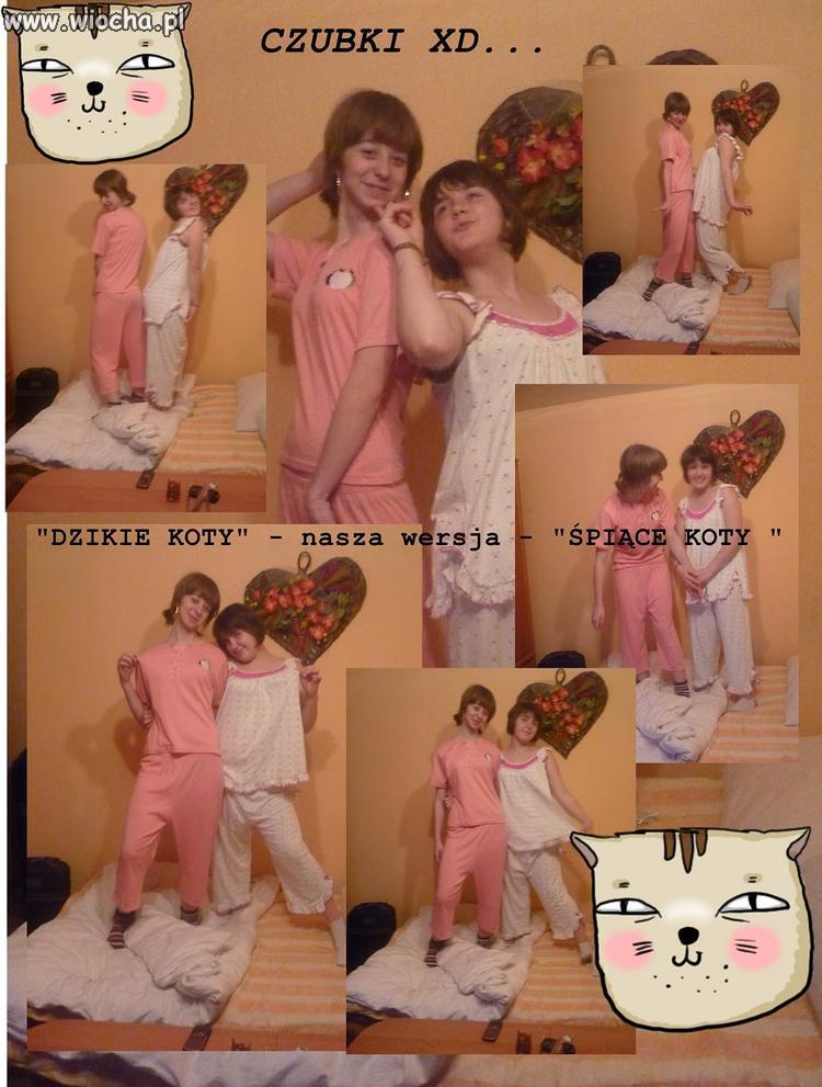 Dzikie koty 