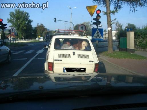 Prawie jak wóz drabiniasty