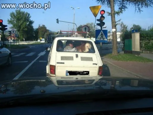 Prawie jak wóz drabiniasty