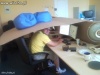 W jakim celu to jest? Nie wiem...