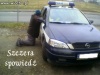 Policja