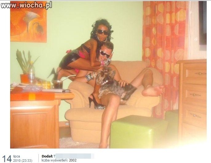 Zoofil?