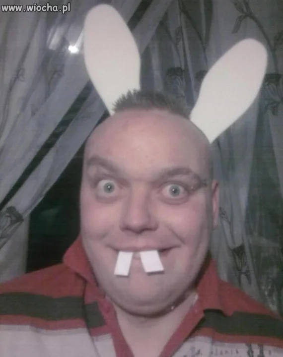 Króliczek playboy'a