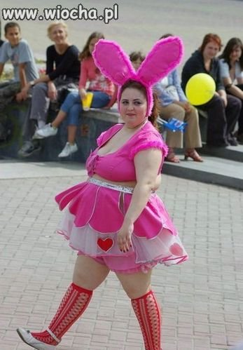 Nowe króliczki playboy'a