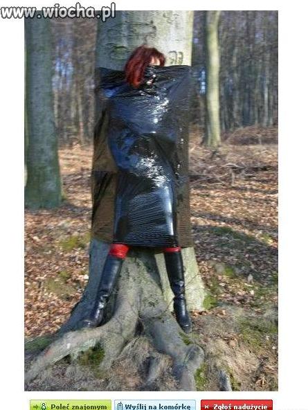 Ciuszek ze stretch'u