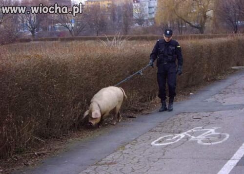 Dziura w budżecie