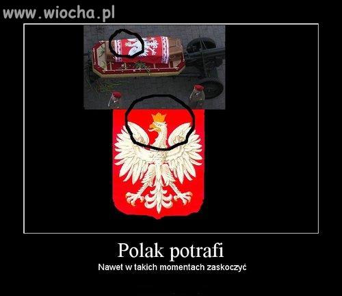 Polak potrafi