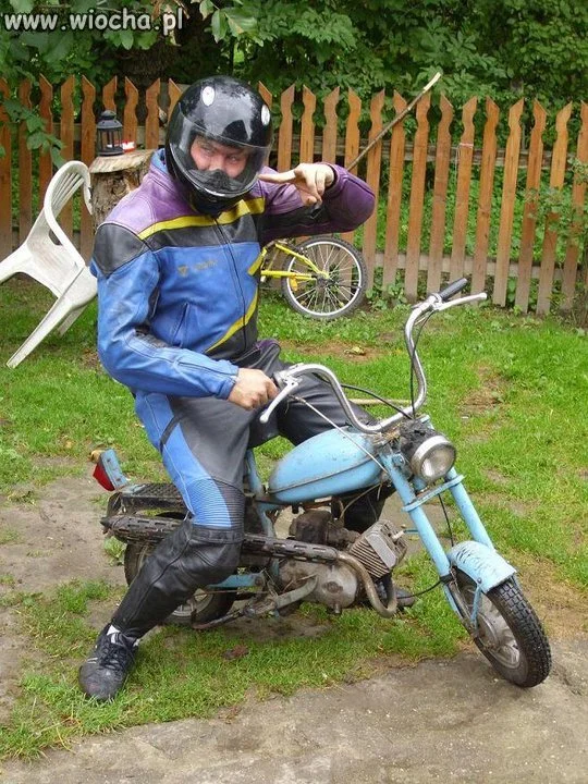Król Szus