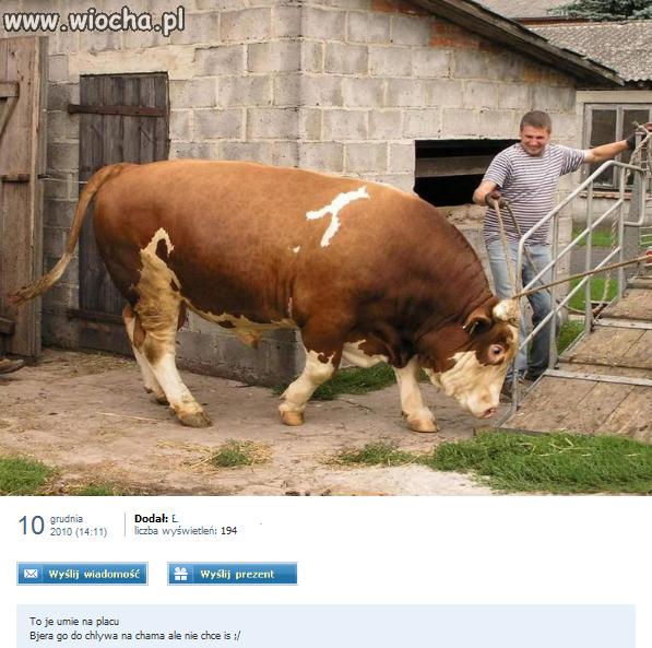 U mnie w zagrodzie