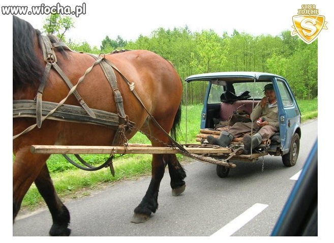 Zaprzęg