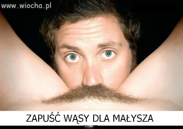 Zapuść wąsy dla Małysz