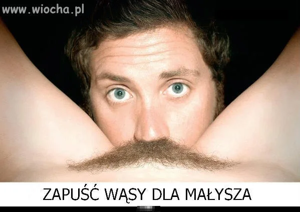 Zapuść wąsy dla Małysz