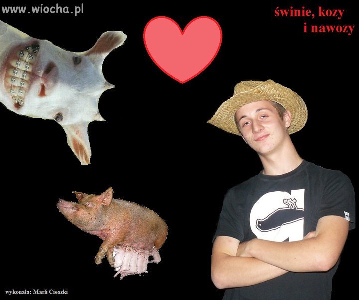 Tytuł zbędny