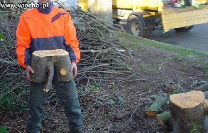 Chciał się pochwalić