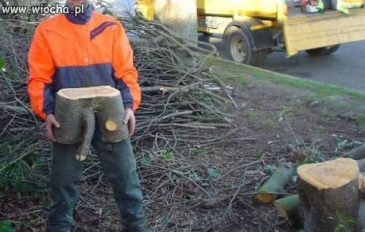 Chciał się pochwalić